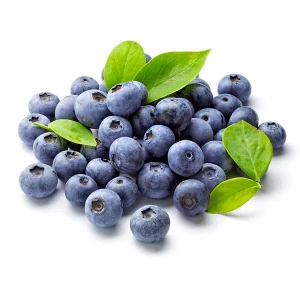 American Giant Blueberry Seeds