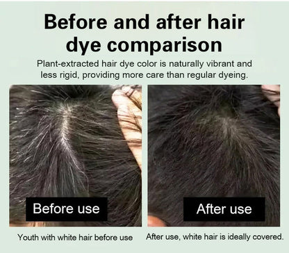 Long Lasting Natural Hair Dye Shampoo 100ML (Buy 1 Get 1 Free)